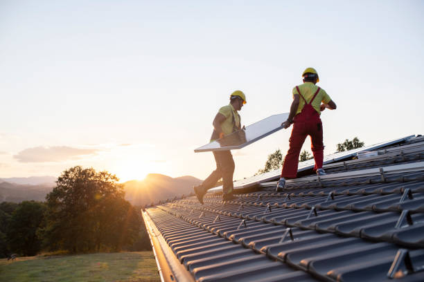 Best Roof Insulation Installation  in Lisle, IL