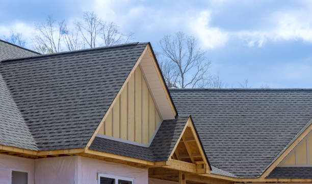 Best Chimney Flashing Repair  in Lisle, IL