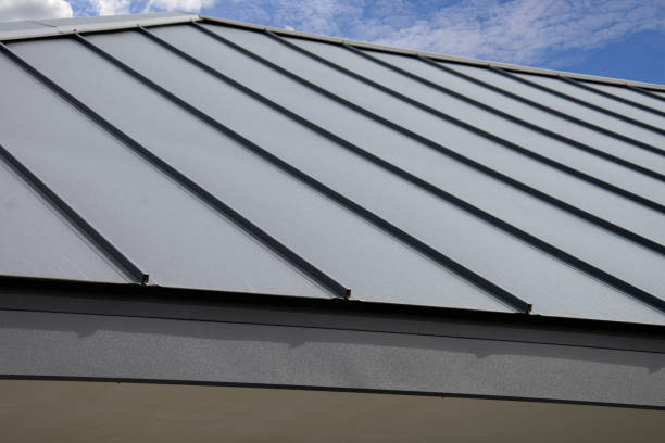 Best Roof Maintenance and Cleaning  in Lisle, IL