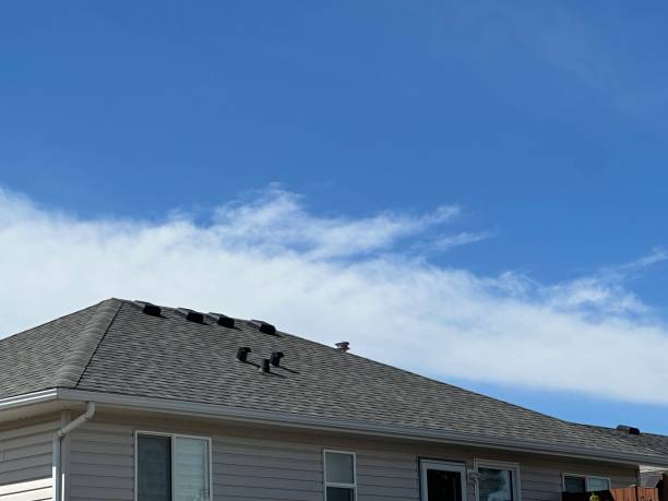 Roof Insulation in Lisle, IL